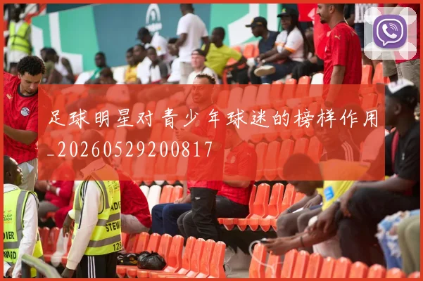 足球明星对青少年球迷的榜样作用_20260529200817