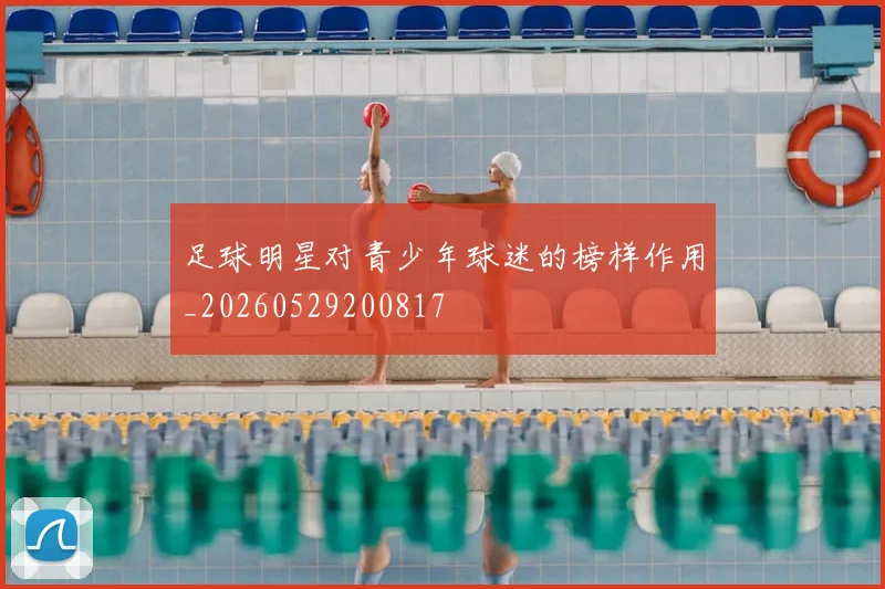 足球明星对青少年球迷的榜样作用_20260529200817